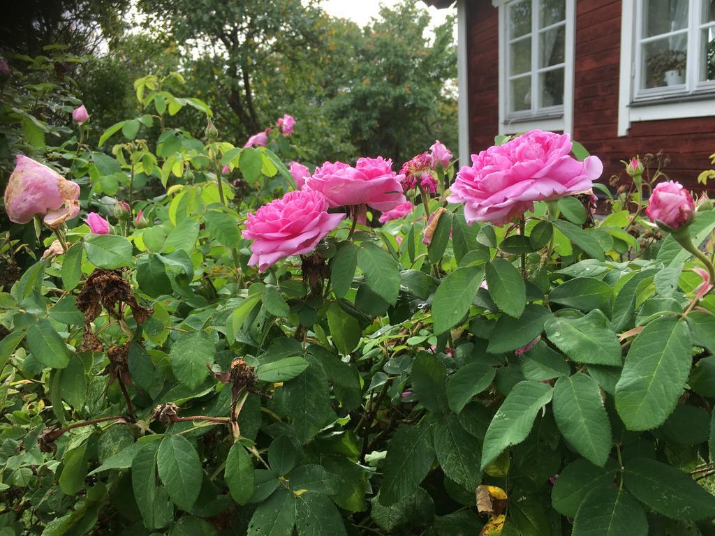 Thorstorps Gard B&B Söderköping 외부 사진